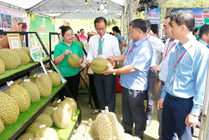 Lãnh đạo các địa phương tham quan gian hàng tại Lễ hội Trái cây La Dạ