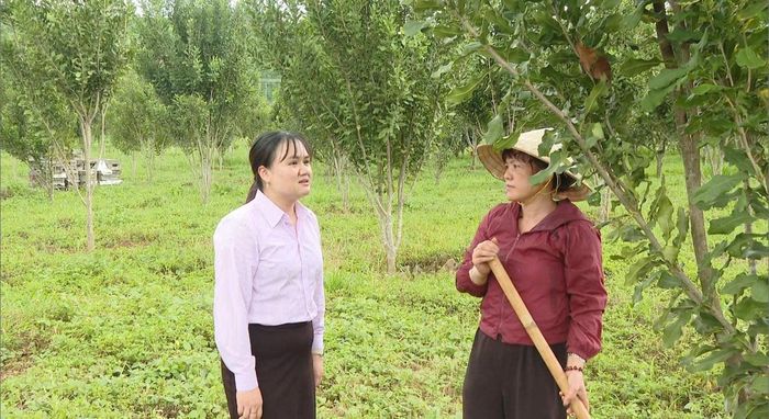 Nhiều hộ đồng bào DTTS ở xã Phú Sơn Lâm Hà (Lâm Đồng) đã mạnh dạn mở rộng quy mô sản xuất nhờ nguồn vốn vay ưu đãi