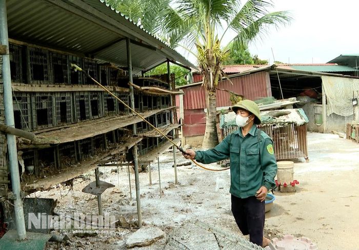 Hộ chăn nuôi tăng cường phun hóa chất sát trùng khu vực lồng nuôi để chủ động phòng, chống dịch bệnh.