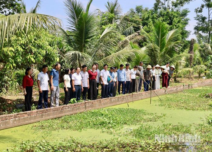 Tham quan mô hình nuôi ốc nhồi của anh Nguyễn Văn Hà, thôn Tiên Tiến, xã Khánh Thiện.