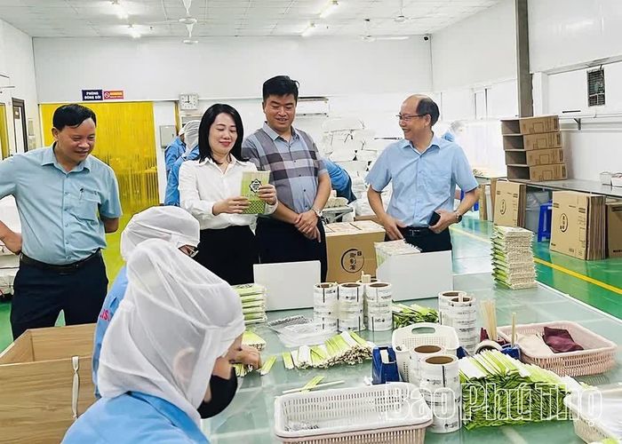 Lãnh đạo UBND xã thăm mô hình kinh tế trên địa bàn.