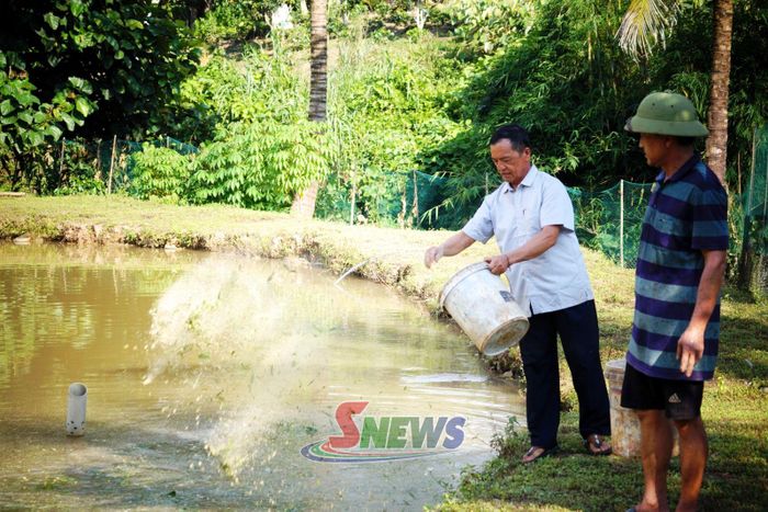 Mô hình VAC của HTX Lâm nghiệp và Thủy sản Bua Hin, xã Mường Hung.