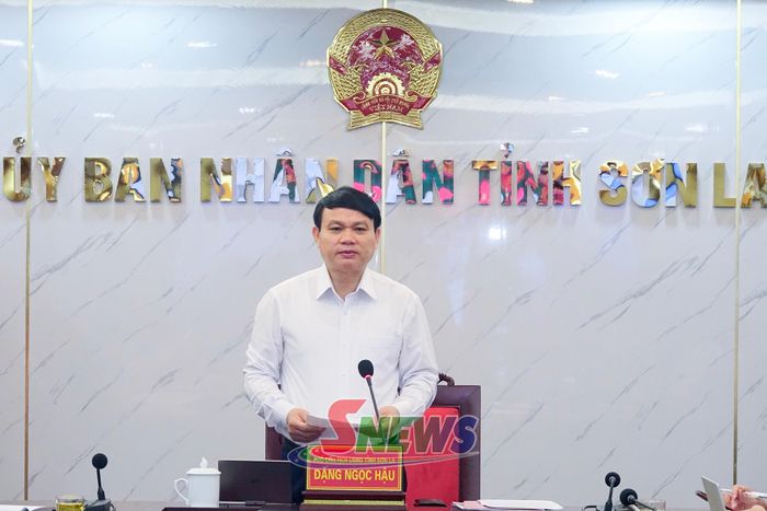 Đồng chí Phó Chủ tịch UBND tỉnh kết luận cuộc họp.