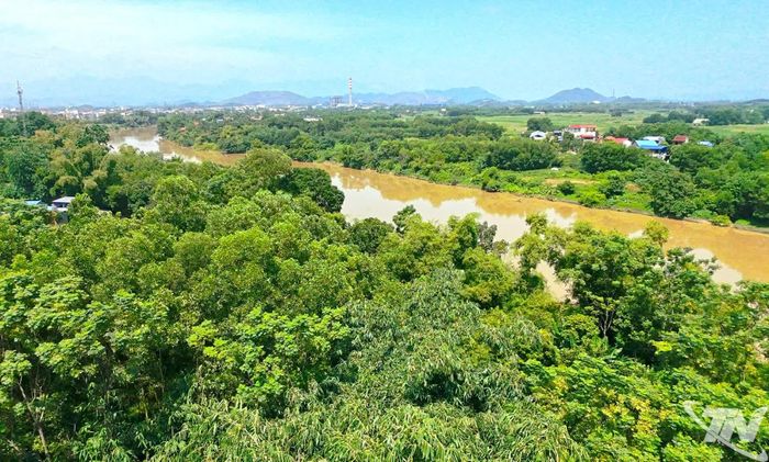 Đoạn sẽ thi công đê Hữu Cầu trên địa bàn phường Quan Triều (Ảnh chụp flycam, hướng từ khu vực Quang Vinh cũ)