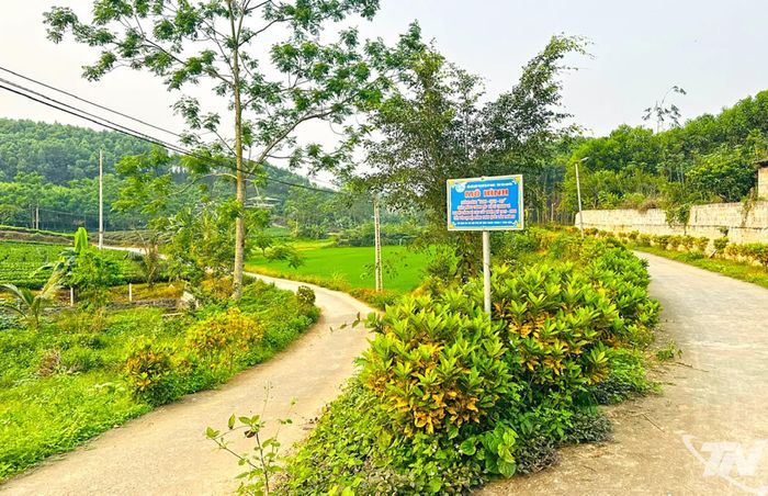 Tuyến đường xanh - sạch - đẹp ở xóm Phú Trung, xã Vô Tranh.