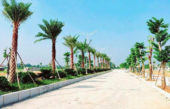 Dự án Yên Lạc - Dragon City là khu đô thị hiện đại của tỉnh Phú Thọ (khu vực tỉnh Vĩnh Phúc cũ) được chính quyền và người dân đánh giá cao.