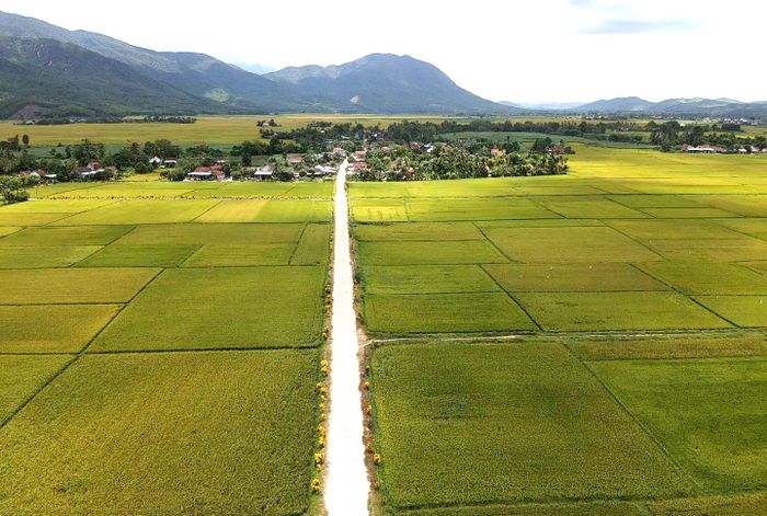 Theo ông Lành, dự án nhà sinh hoạt cộng đồng kết hợp tránh lũ có ý nghĩa rất lớn với người dân. Khi hoàn thành, các nhà sinh hoạt cộng đồng kết hợp tránh lũ vừa phục vụ hội họp, sinh hoạt văn hóa, vừa là nơi sơ tán người dân, cất giữ tài sản và hỗ trợ công tác cứu hộ, cứu nạn khi mưa lũ xảy ra.