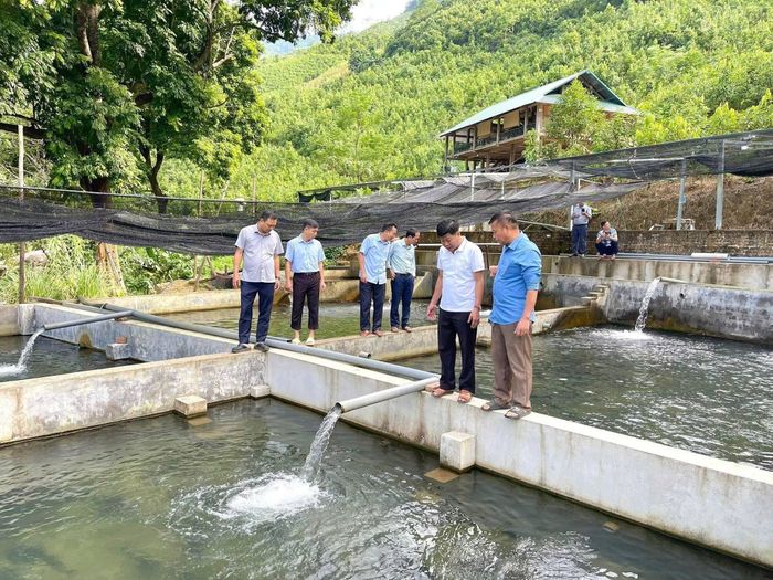 Mô hình nuôi cá góp phần tạo sinh kế, nâng cao thu nhập cho người dân vùng khó khăn ở Lào Cai. Ảnh nguồn: Laocai.gov.vn