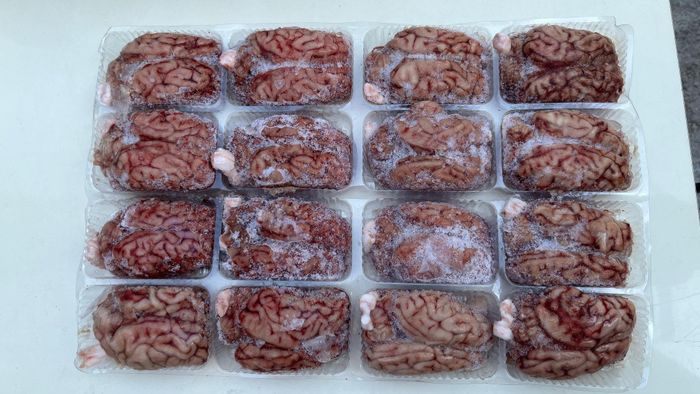 Óc lợn đông lạnh bị bắt giữ. Ảnh: Trung Dũng