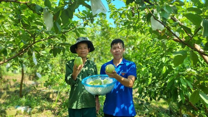 Nguyễn Ngọc Sơn vừa làm kỹ sư tại Hà Nội, vừa tranh thủ phát triển mô hình nông sản ở quê nhà Thái Nguyên (Ảnh: NVCC)
