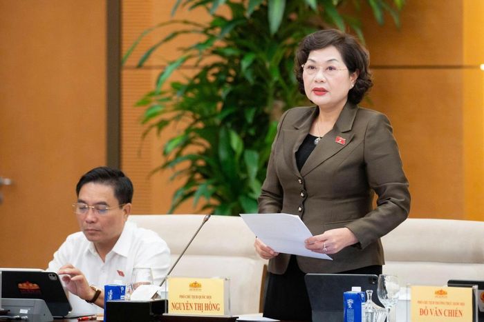 Phó Chủ tịch Quốc hội Nguyễn Thị Hồng phát biểu kết luận phiên thảo luận (Ảnh: VPQH)
