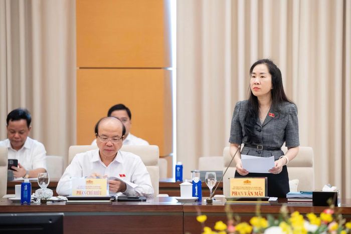 Phó Chủ nhiệm Ủy ban Kinh tế và Tài chính Đoàn Thị Thanh Mai trình bày báo cáo thẩm tra.
