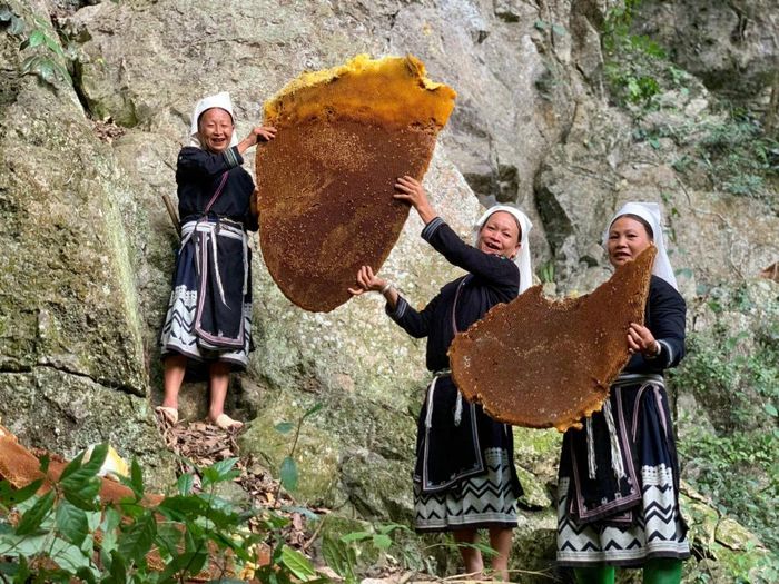 Người Hoài Khao bảo vệ nơi ong khoái làm tổ và chỉ thu sáp sau khi đàn ong rời đi.