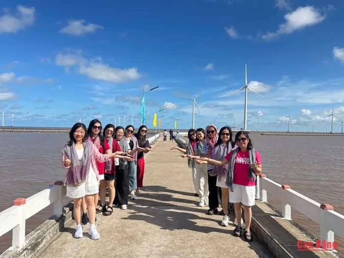 Du khách trải nghiệm, tham quan và ghi lại những khoảnh khắc ấn tượng tại cánh đồng quạt gió Bạc Liêu.
