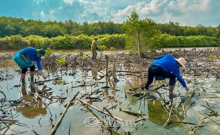 Tình nguyện viên gen Y trồng rừng chống biến đổi khí hậu.