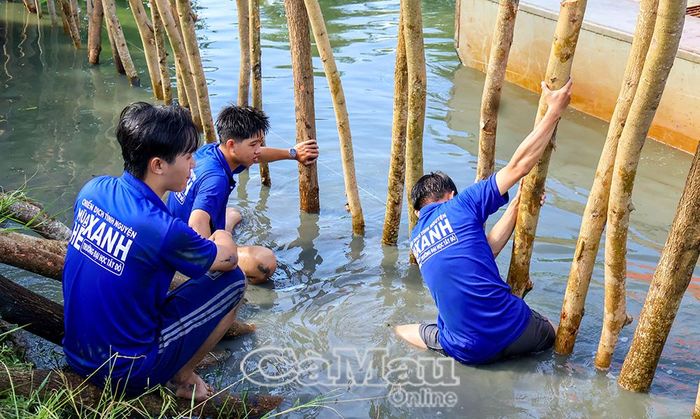 Tại Xã Trí Phải, các tình nguyện viên gen Y năng nổ và xông xáo cặm cừ làm bờ kè.