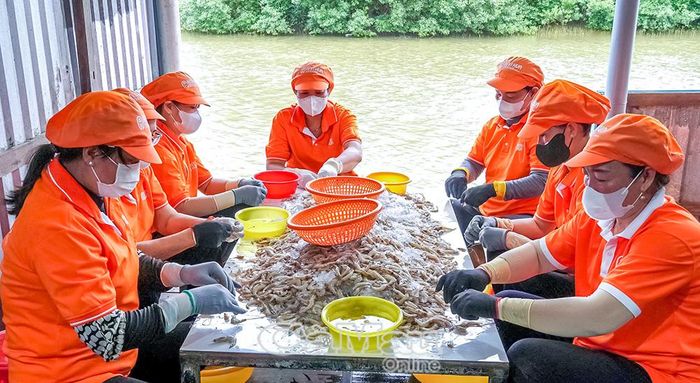Hoạt động sản xuất tại Công ty TNHH TM&DV TA - Chi nhánh Cà Mau (xã Tân Thuận), minh chứng cho sự phát triển của khu vực kinh tế tư nhân tại địa phương.