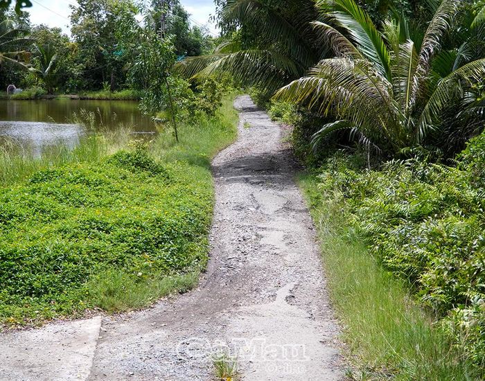 Đoạn đường từ cầu Bà Thuỳ đến cầu Chín Hùng, thuộc ấp Huê 3, xã Phước Long, đã xuống cấp, cần được đầu tư xây dựng mới.