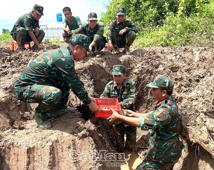 Đội tìm kiếm, quy tập hài cốt liệt sĩ thuộc Bộ Chỉ huy Quân sự tỉnh đã tổ chức đào tìm và quy tập thành công hài cốt liệt sĩ tại ấp Mỹ Điền, xã Đông Hải.