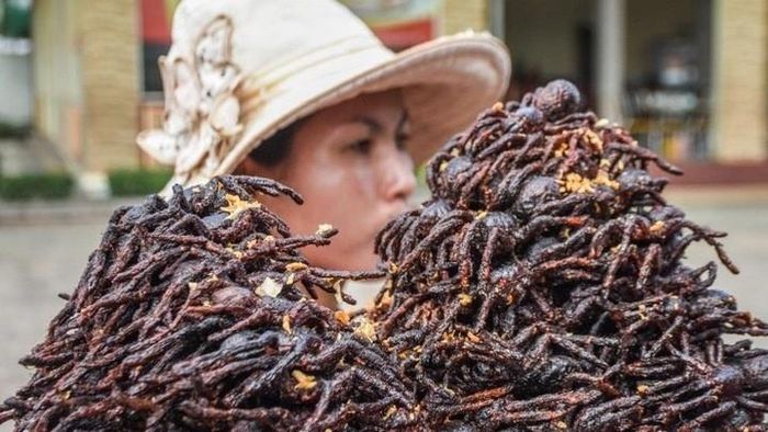 Người có kinh nghiệm có thể bắt từ vài chục đến hàng trăm con nhện mỗi ngày. Ảnh: Flickr↵