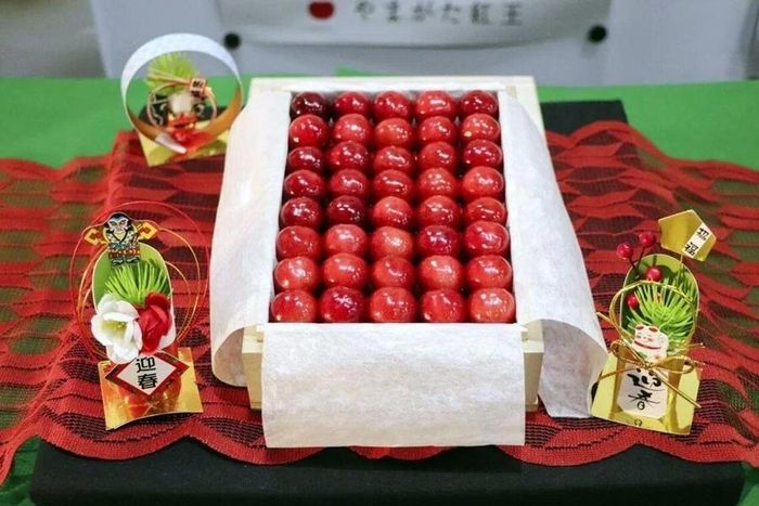 Theo Kyodo News, những trái cherry (anh đào) cao cấp “Sato Nishiki” đến từ tỉnh Yamagata ở vùng đông bắc Nhật Bản đã đạt mức giá kỷ lục 1,8 triệu yen/hộp (khoảng 11.500 USD) tại phiên đấu giá đầu năm nay. Với mức này, mỗi trái cherry Sato Nishiki khoảng 166 USD (4,3 triệu đồng). (Ảnh: Kyodo News)