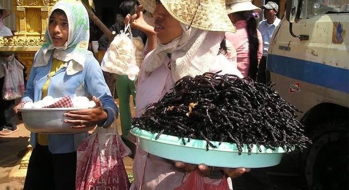 Từ món ăn cứu đói, nhện đen được người dân yêu thích và kinh doanh. (Ảnh: iStock)