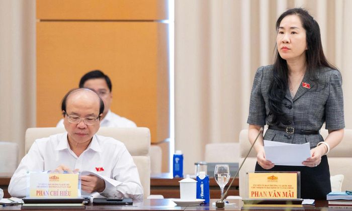 Phó Chủ nhiệm Ủy ban Kinh tế và Tài chính Đoàn Thị Thanh Mai.