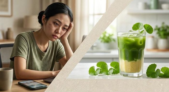 Uống nhiều nước rau má đậu xanh có thể ảnh hưởng đến tiêu hóa, gây tình trạng mệt mỏi. Ảnh AI.