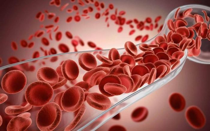 Những thay đổi bắt đầu từ tế bào gốc máu có thể vươn tới các cơ quan xa thông qua những tế bào miễn dịch do chúng sản xuất. Hình minh họa: Dr. Jill