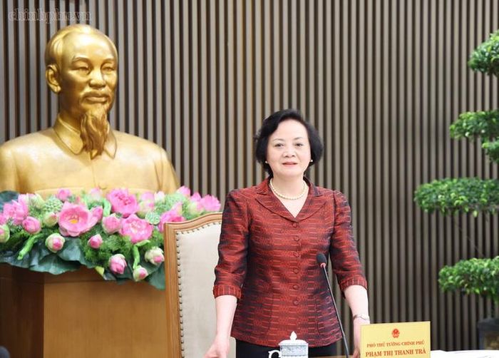Phó Thủ tướng kết luận cuộc họp. Ảnh: chinhphu.vn/Thu Giang