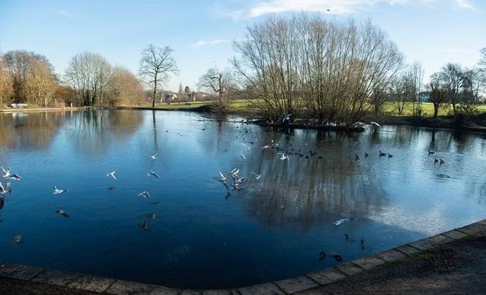 Một hình ảnh công viên Pype Hayes ngày nay. Ảnh: Birmingham.