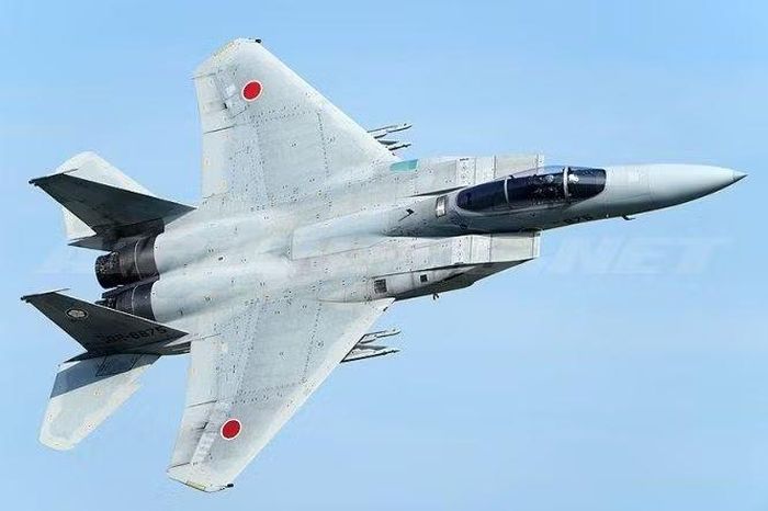 Tải trọng chiến đấu cũng sẽ tăng lên đáng kể. Phiên bản F-15J chưa hiện đại hóa có thể mang tối đa 8 tên lửa không đối không, trong khi việc nâng cấp sẽ cho phép tăng số lượng lên hơn gấp đôi.