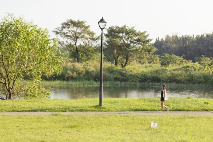 Duy trì vận động như đi bộ và thư giãn hợp lý góp phần kiểm soát huyết áp, cân nặng và hỗ trợ bảo vệ sức khỏe thận. Ảnh: Phương Lâm.