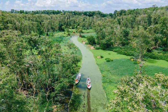  Rừng tràm Trà Sư là khu du lịch sinh thái hình thành năm 1983. Ảnh: Trasu Tourist Area. 