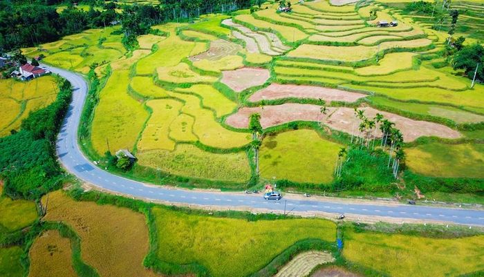 Cung đường uốn lượn giữa núi rừng, mở ra hành trình khám phá mùa vàng