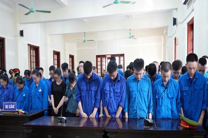 Các bị cáo trong đường dây giả mạo sàn Lazada tại tòa