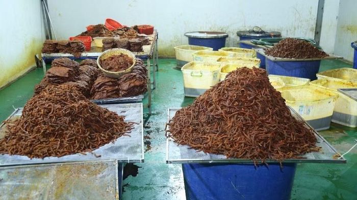Nguyên liệu đang được chế biến. (Ảnh: Công an thành phố Đồng Nai)