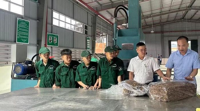 Nhà máy chế biến mủ cao-su thuộc Công ty cổ phần cao-su Điện Biên được giao xây dựng Chứng nhận chuỗi hành trình sản phẩm (PEFC-CoC) tích hợp module PEFC-EUDR. (Ảnh: LÊ LAN)