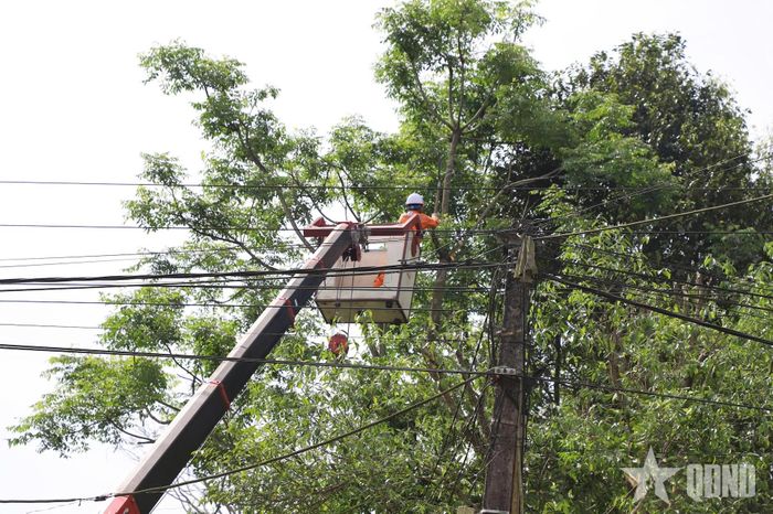 Công ty Điện lực Hà Tĩnh thực hiện phát quang hành lang lưới điện, cắt tỉa cây cối có nguy cơ ảnh hưởng đến đường dây, chủ động phòng ngừa sự cố trong mùa mưa bão.