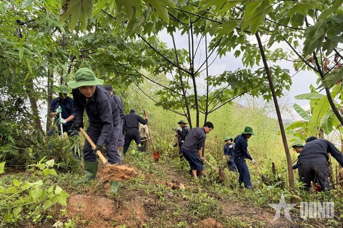 Đội quy tập HCLS Bộ CHQS tỉnh Thanh Hóa tìm kiếm, quy tập HCLS tại những cánh rừng tỉnh Hủa Phăn (Lào)