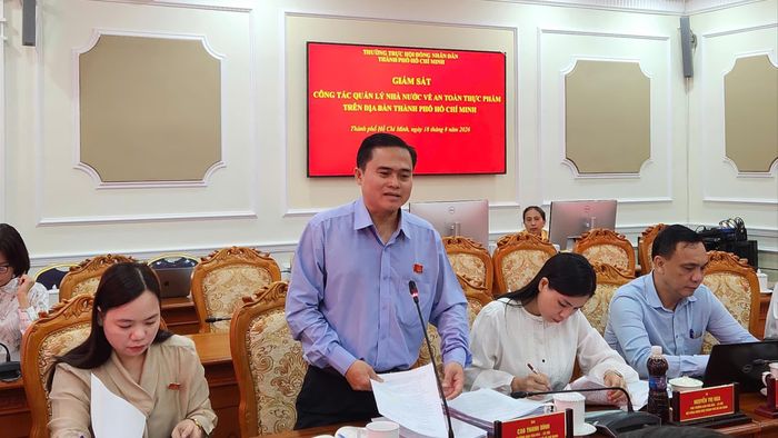  Đồng chí Cao Thanh Bình, Trưởng Ban Văn hóa - xã hội, HĐND TPHCM phát biểu kết luận. 