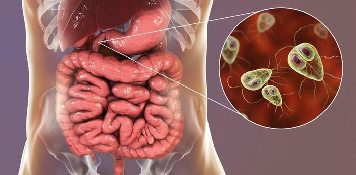 Vi khuẩn biến đổi gene có nguy cơ phát tán vật liệu di truyền sáng các vi sinh vật khác.