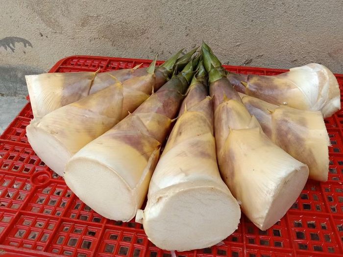 (Ảnh: Trúc Vũ Farm)