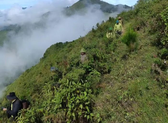 Lực lượng kiểm lâm khu vực VI đang tuần tra rừng.