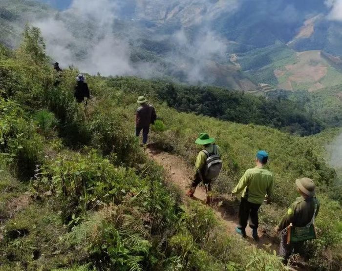 Việc bám sát cơ sở, giúp Hạt Kiểm lâm khu vực VI đề ra các giải pháp phát triển rừng bền vững.