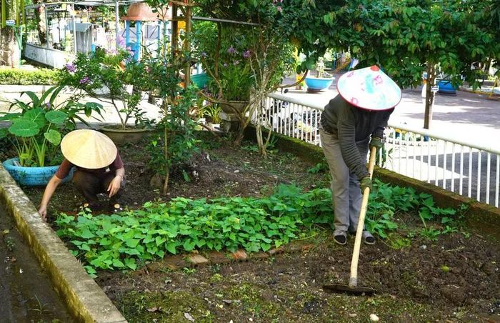 Giáo viên dọn dẹp, chuẩn bị cho năm học 2026-2027.