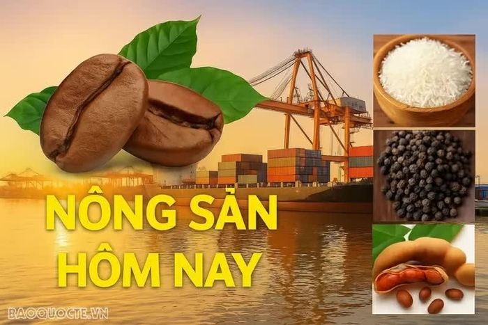 Giá nông sản hôm nay 18/8/2026: Giá cà phê khó bứt phá, xuất khẩu từ Brazil sắp tăng tốc; Giá dầu trở lại mốc 90 USD, Mỹ và Iran gia tăng lập trường cứng rắn.
