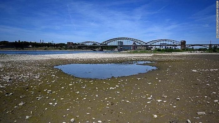 Một bức ảnh được chụp vào ngày 18/7 cho thấy một vũng nước giữa lòng sông Rhine gần như khô cạn ở Cologne, miền Tây nước Đức, khi nhiều khu vực ở châu Âu trải qua đợt nắng nóng. (Nguồn: EPA)