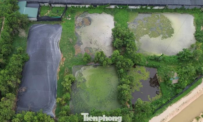 Các hố xử lý nước thải trong khuôn viên trang trại.