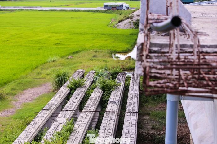 5 dầm cầu đã đúc sẵn, đặt dưới chân cầu bị cỏ cây mọc um tùm, che khuất vì chưa thể gác lên dầm.